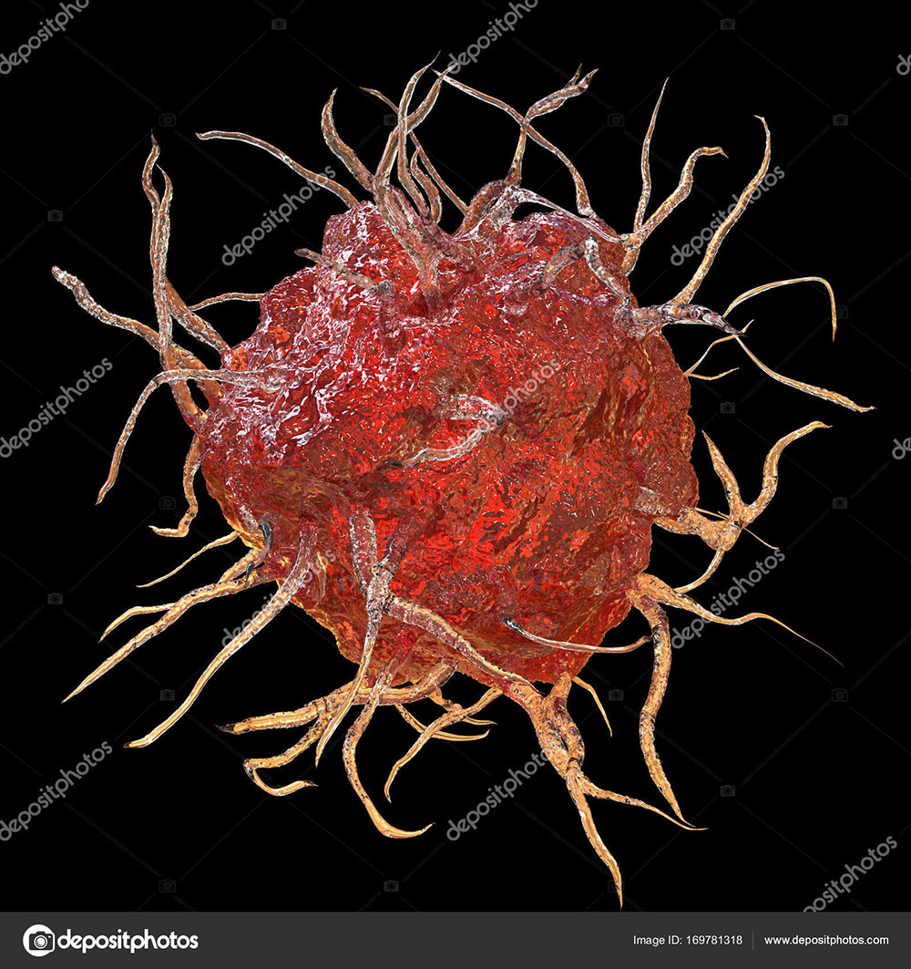 depositphotos_169781318-stock-photo-dendritic-cell-antigen-presenting-immune.jpg