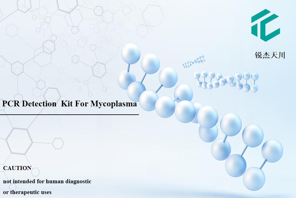 支原体PCR检测试剂盒